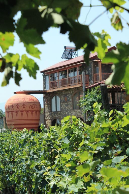 Готель Twins Wine House Напареулі Екстер'єр фото