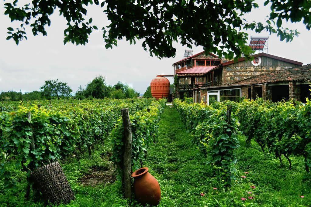 Готель Twins Wine House Напареулі Екстер'єр фото